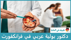 دكتور بولية عربي في فرانكفورت